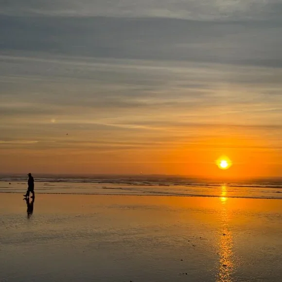 NWT Banana Republic Lightweight Brown Leather Braided Belt in Women's Large - Picture 9 of 9